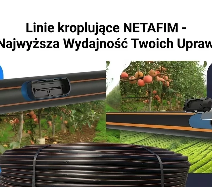 Zdjęcie CHCNAV